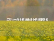 足彩16092佬牛揭秘投注中的秘密武器