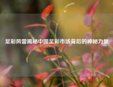足彩风雷揭秘中国足彩市场背后的神秘力量