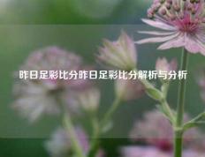 昨日足彩比分昨日足彩比分解析与分析