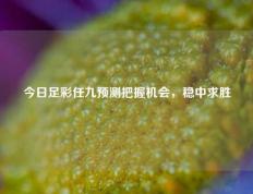 今日足彩任九预测把握机会，稳中求胜