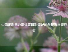 中国足彩网公司体育博彩领域的创新者与领导者