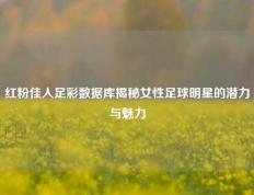 红粉佳人足彩数据库揭秘女性足球明星的潜力与魅力