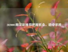 2020001期足彩推荐把握机会，稳中求胜
