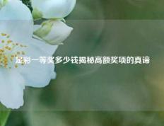 足彩一等奖多少钱揭秘高额奖项的真谛