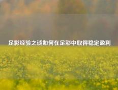 足彩经验之谈如何在足彩中取得稳定盈利