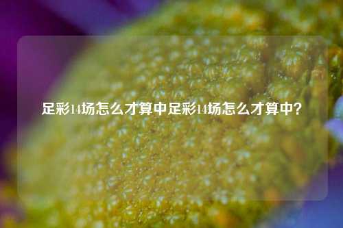 足彩14场怎么才算中足彩14场怎么才算中？
