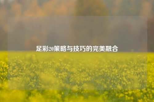 足彩20策略与技巧的完美融合