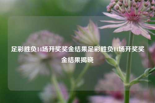 足彩胜负14场开奖奖金结果足彩胜负14场开奖奖金结果揭晓