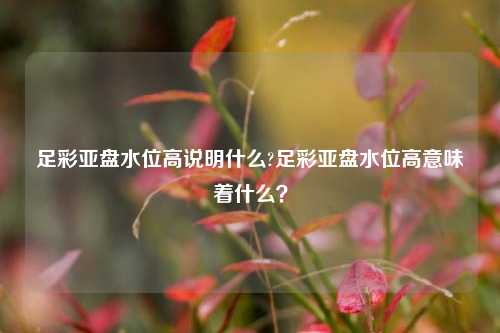 足彩亚盘水位高说明什么?足彩亚盘水位高意味着什么？