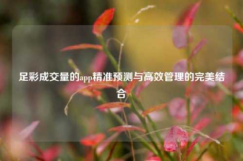 足彩成交量的app精准预测与高效管理的完美结合