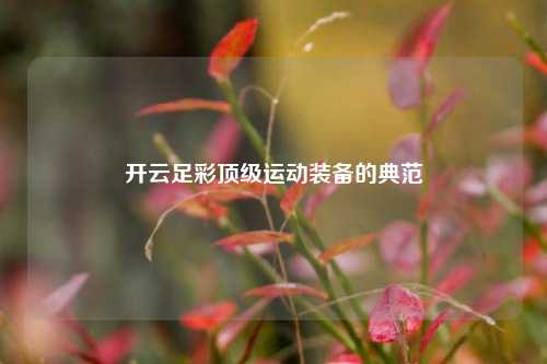 开云足彩顶级运动装备的典范