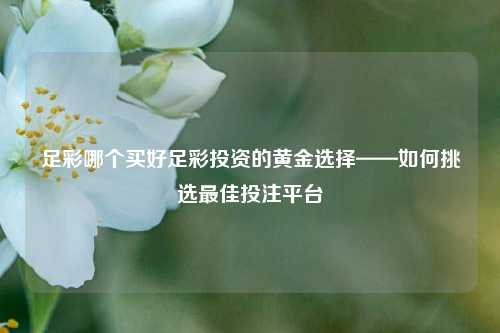 足彩哪个买好足彩投资的黄金选择——如何挑选最佳投注平台