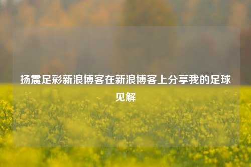 扬震足彩新浪博客在新浪博客上分享我的足球见解
