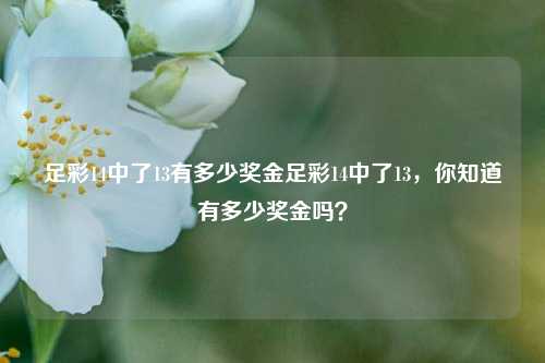足彩14中了13有多少奖金足彩14中了13，你知道有多少奖金吗？