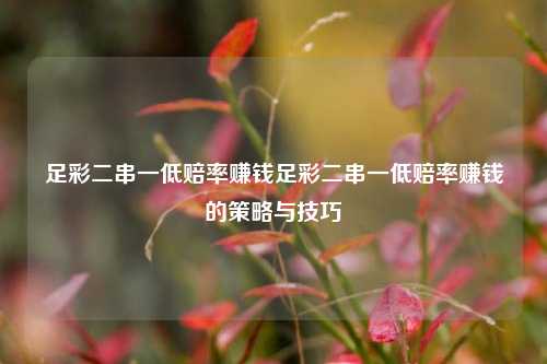 足彩二串一低赔率赚钱足彩二串一低赔率赚钱的策略与技巧