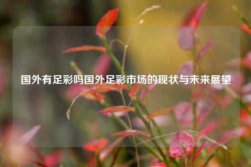 国外有足彩吗国外足彩市场的现状与未来展望