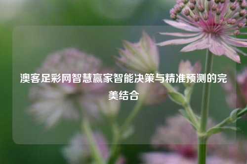 澳客足彩网智慧赢家智能决策与精准预测的完美结合