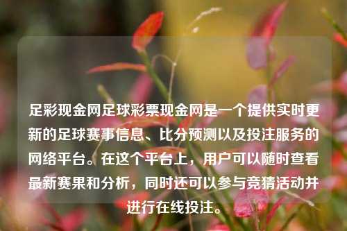 足彩现金网足球彩票现金网是一个提供实时更新的足球赛事信息、比分预测以及投注服务的网络平台。在这个平台上，用户可以随时查看最新赛果和分析，同时还可以参与竞猜活动并进行在线投注。