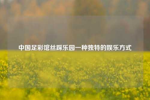 中国足彩馆丝踩乐园一种独特的娱乐方式