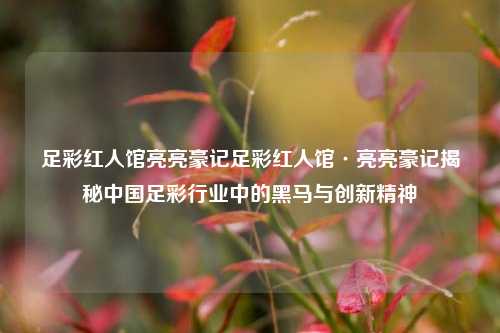 足彩红人馆亮亮豪记足彩红人馆·亮亮豪记揭秘中国足彩行业中的黑马与创新精神