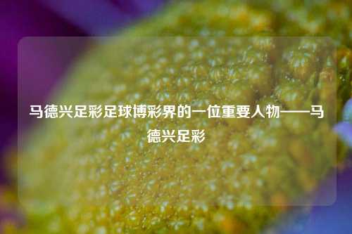 马德兴足彩足球博彩界的一位重要人物——马德兴足彩