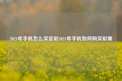 2021年手机怎么买足彩2021年手机如何购买彩票