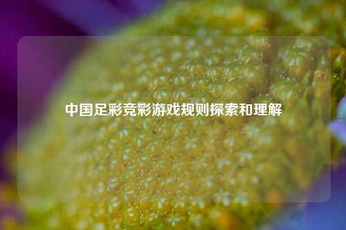 中国足彩竞彩游戏规则探索和理解