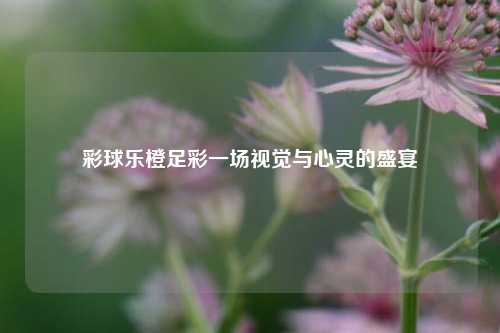 彩球乐橙足彩一场视觉与心灵的盛宴