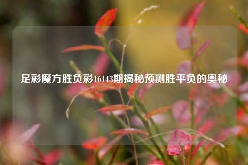 足彩魔方胜负彩16143期揭秘预测胜平负的奥秘