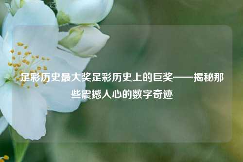 足彩历史最大奖足彩历史上的巨奖——揭秘那些震撼人心的数字奇迹