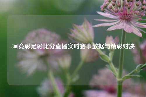 500竞彩足彩比分直播实时赛事数据与精彩对决