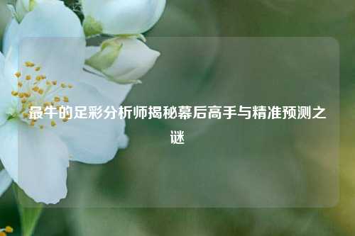 最牛的足彩分析师揭秘幕后高手与精准预测之谜