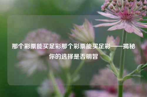 那个彩票能买足彩那个彩票能买足彩——揭秘你的选择是否明智