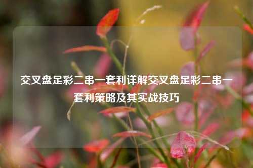 交叉盘足彩二串一套利详解交叉盘足彩二串一套利策略及其实战技巧