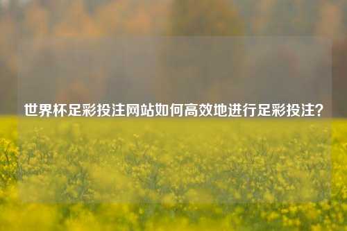 世界杯足彩投注网站如何高效地进行足彩投注？