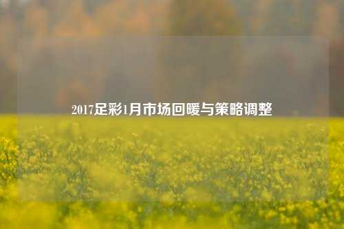 2017足彩1月市场回暖与策略调整