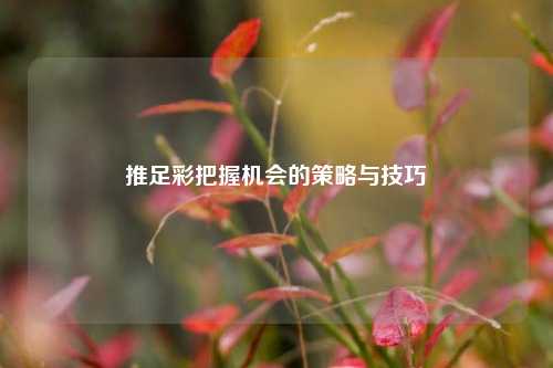 推足彩把握机会的策略与技巧
