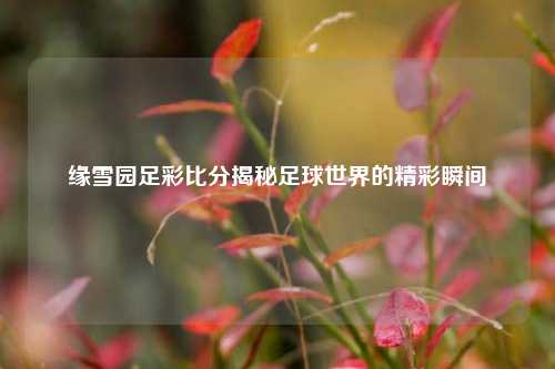 缘雪园足彩比分揭秘足球世界的精彩瞬间