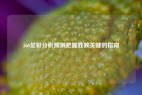 360足彩分析预测把握胜败关键的指南