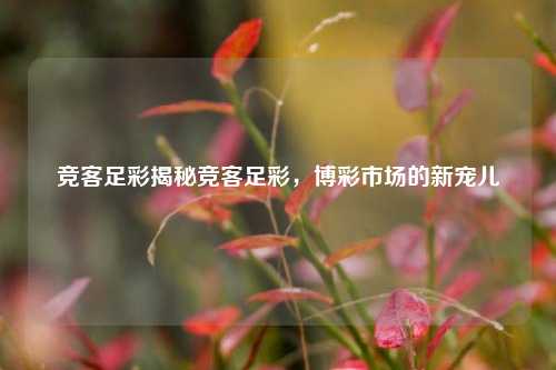 竞客足彩揭秘竞客足彩，博彩市场的新宠儿