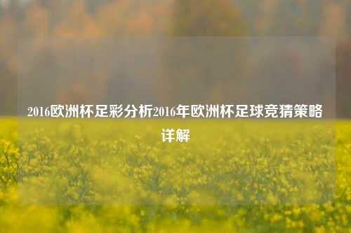 2016欧洲杯足彩分析2016年欧洲杯足球竞猜策略详解