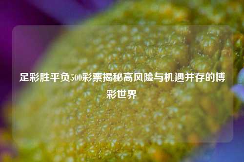 足彩胜平负500彩票揭秘高风险与机遇并存的博彩世界