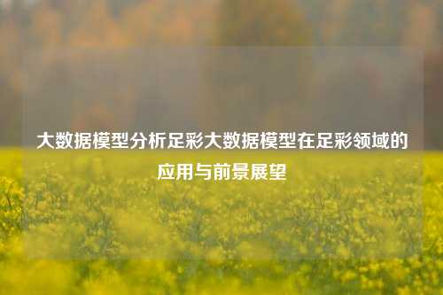 大数据模型分析足彩大数据模型在足彩领域的应用与前景展望