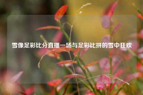 雪像足彩比分直播一场与足彩比拼的雪中狂欢