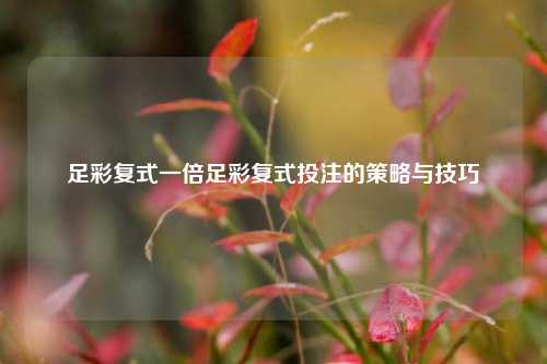 足彩复式一倍足彩复式投注的策略与技巧