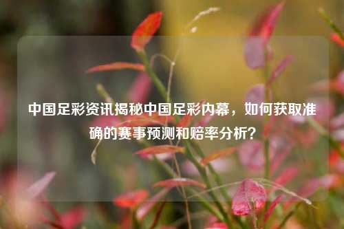 中国足彩资讯揭秘中国足彩内幕，如何获取准确的赛事预测和赔率分析？